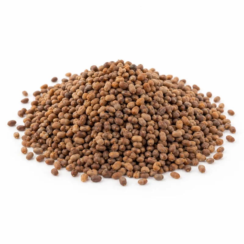 Roka Tohumu – 1 kg — temsili ürün görseli