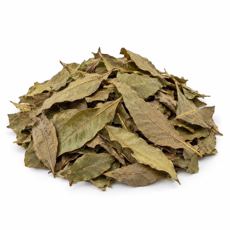 Avakado Yaprağı – 12 × 25 g — temsili ürün görseli