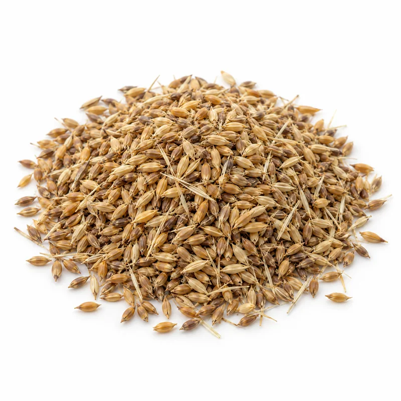 Süpürge Tohumu – 1 kg — temsili ürün görseli