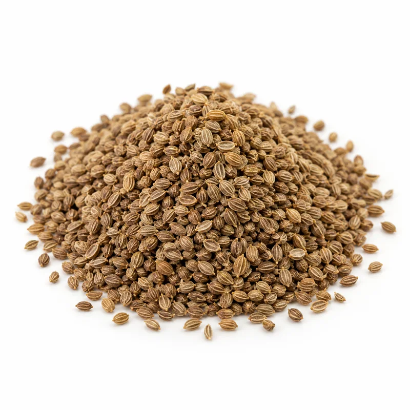 Kereviz Tohumu – 1 kg — temsili ürün görseli