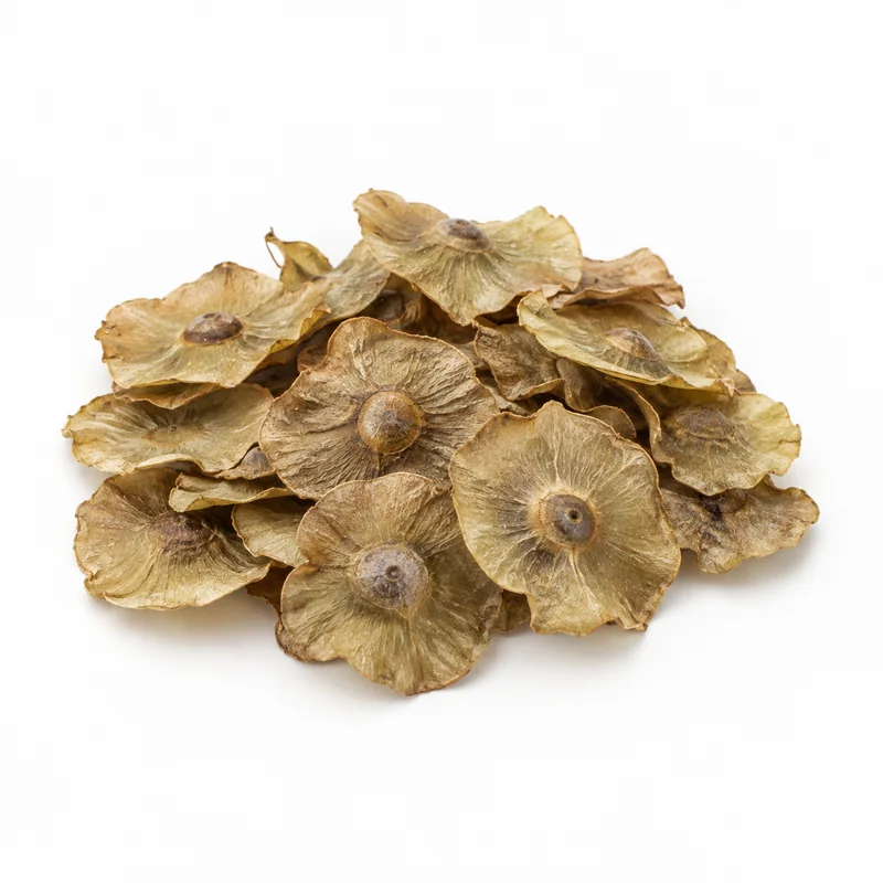 Çaltı Dikeni – 5 kg — temsili ürün görseli