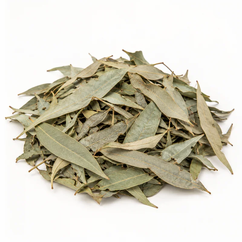 Okaliptüs Yaprak – 1 kg — temsili ürün görseli