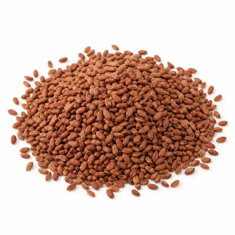 Tere Tohumu – 1 kg — temsili ürün görseli