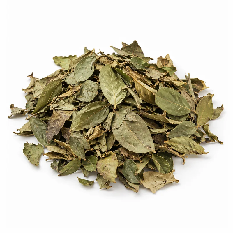 Gimneya Yaprağı – 12 × 30 g — temsili ürün görseli