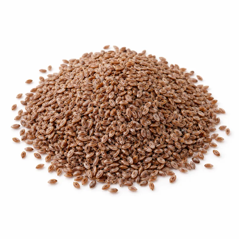 Karnıyarık Otu Tohumu – 1 kg — temsili ürün görseli