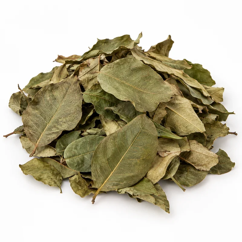 Ayva Yaprağı Kurusu – 1 kg — temsili ürün görseli