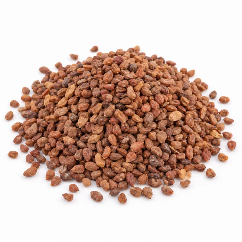 Turp Tohumu – 1 kg — temsili ürün görseli
