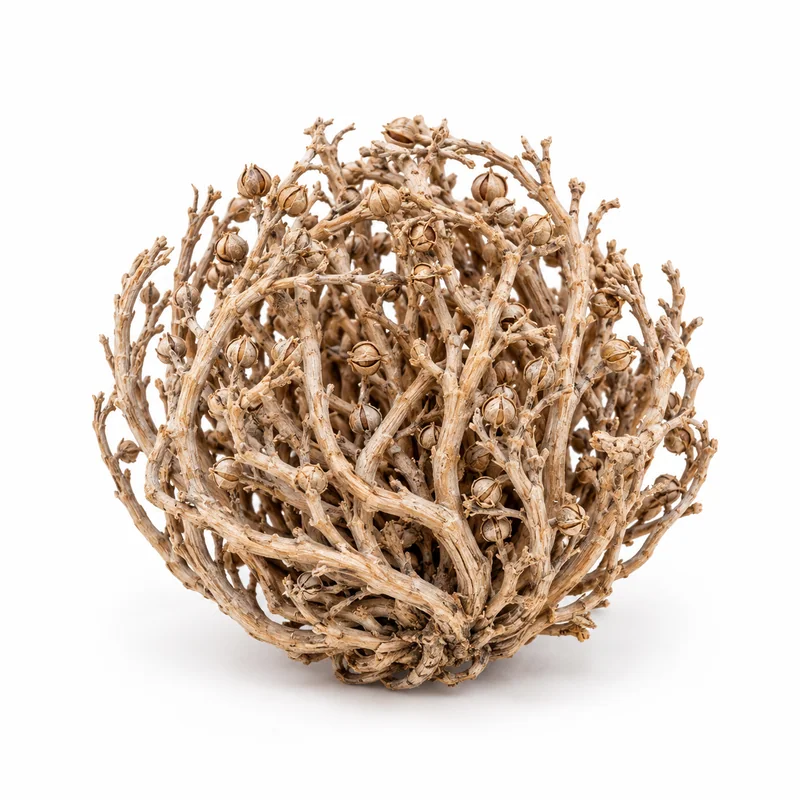 Meryem Ana Eli – 1 kg — temsili ürün görseli