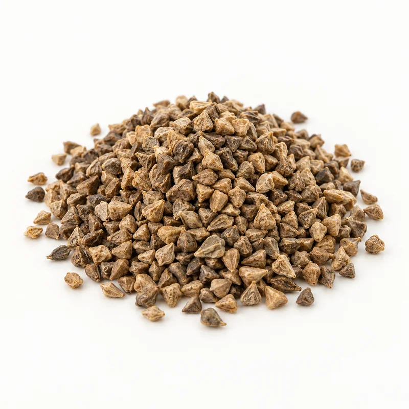 Ispanak Tohumu – 1 kg — temsili ürün görseli