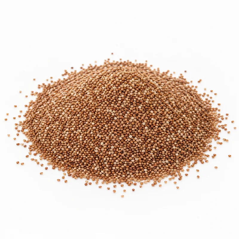 Teff Tohumu – 1 kg — temsili ürün görseli